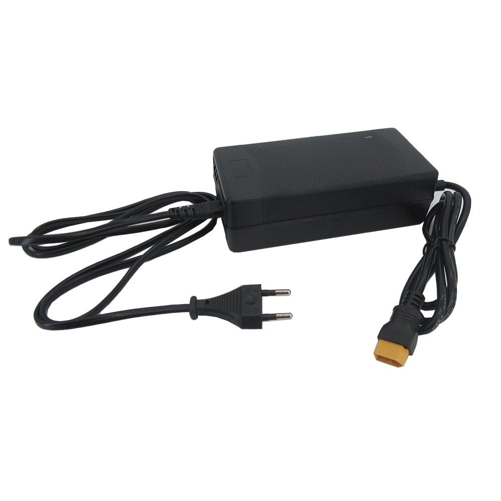 43.8V 4A Lifepo4 Iron Phosphate Battery Charger For 36V 12S Solar Energy Storage Ebike Fast Charger XT60 Alligator Clip