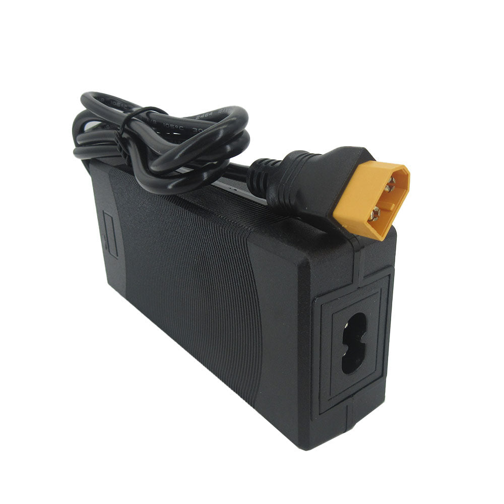 29.2V 2A Lifepo4 Charger 8S 24V 25.6V Iron Phosphate LFP 10AH 20AH Electric Bike scooter Battery Charger XT60 DC Connector