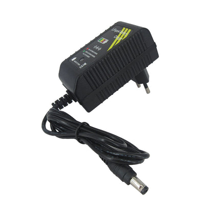 14.6V 2A 29.2V 1A Lifepo4 Charger 4S 12V 8S 24V Lithium Iron Phosphate Toy Car Electric tool Battery Wall Charger DC5.5*2.5MM DC5.5*2.1MM