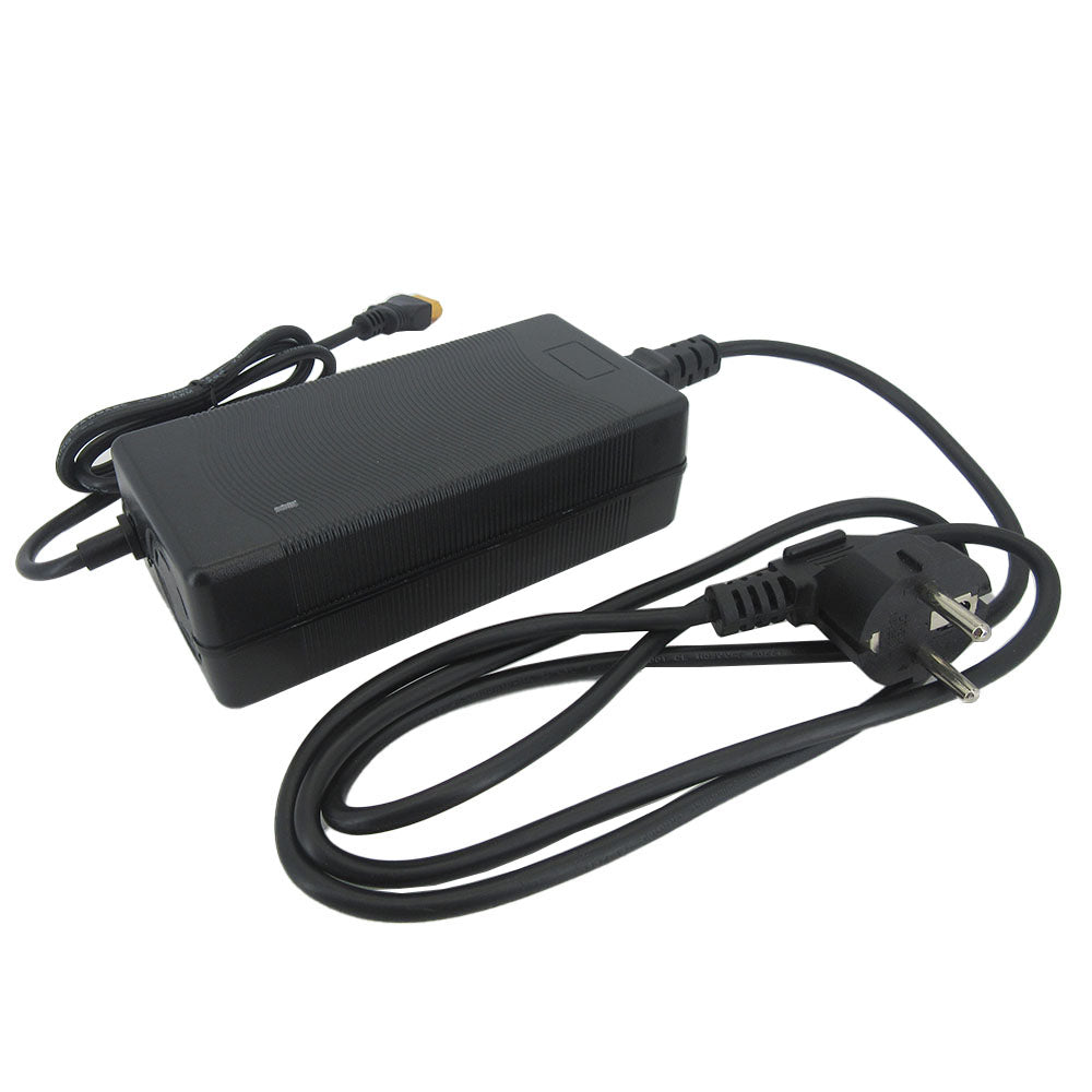 16S 48V 5A Lifepo4 Battery Fast Charger 58.4V 5A Iron Phosphate Energy Storage Ebike Fast Chargers XT60 DC Connector With Fan 220V Input