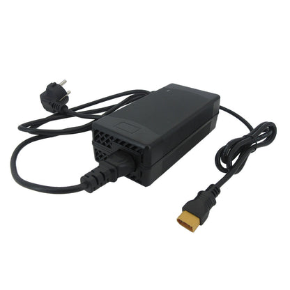 BAYADOU 29.4V 10A Li-ion Fast Charger 7S 24V 24 Volt Lithium Electric Bike Scooter Energy Storage Battery Charger XT90 XT60 Connector With Fan 220V Input