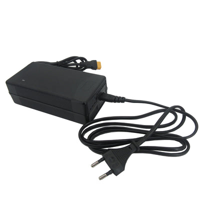 43.8V 4A Lifepo4 Iron Phosphate Battery Charger For 36V 12S Solar Energy Storage Ebike Fast Charger XT60 Alligator Clip